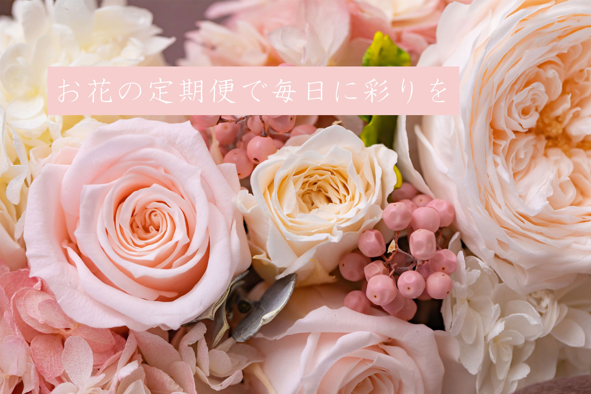 メインビジュアル